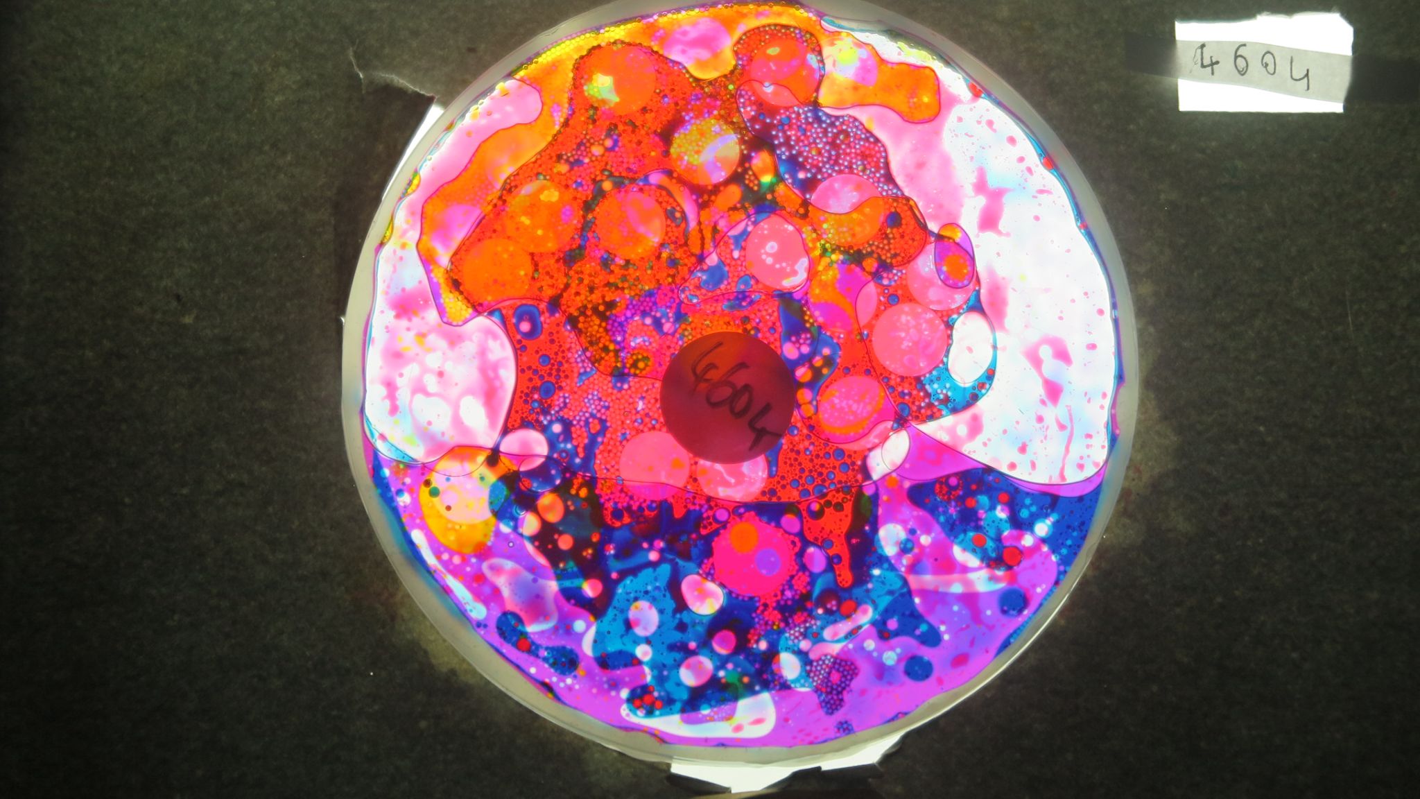 BV4604 bubble vision oil wheel